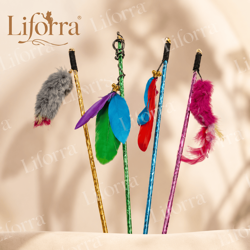 Cat Play Stick  | Interactive Feather Wand Toy – Liforra