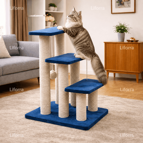 3 Step Stairs