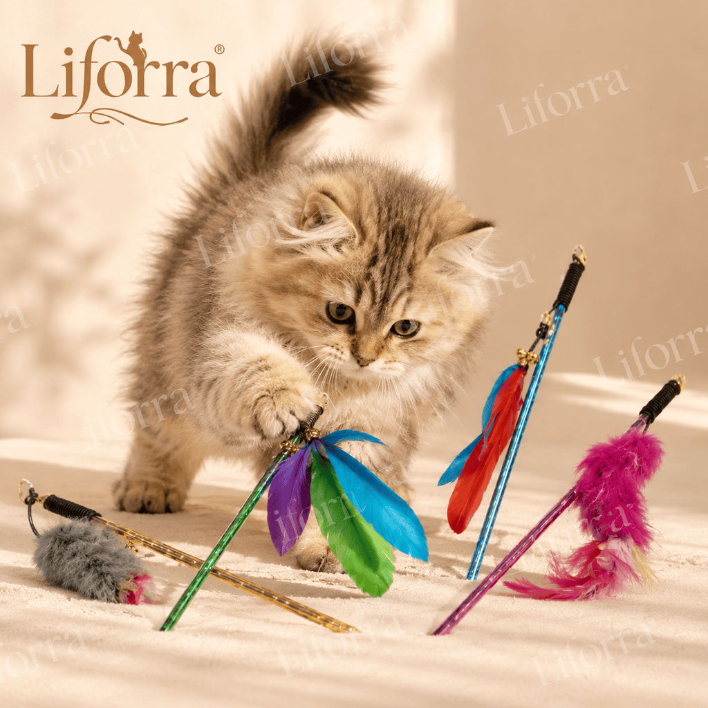 Cat Play Stick  | Interactive Feather Wand Toy – Liforra