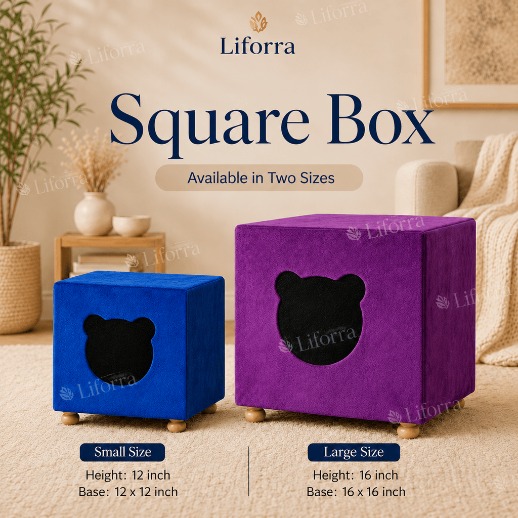 Square Box Cat House