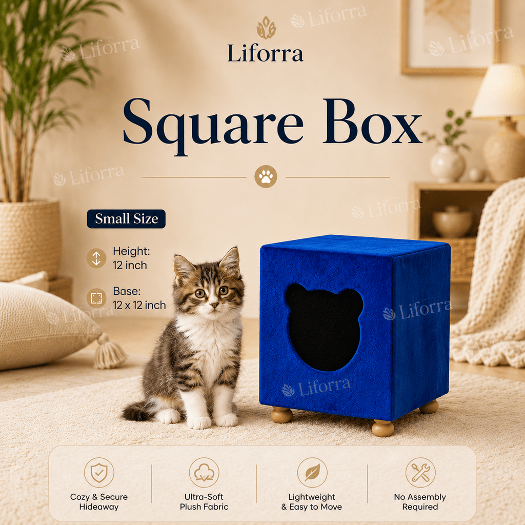 Square Box Cat House
