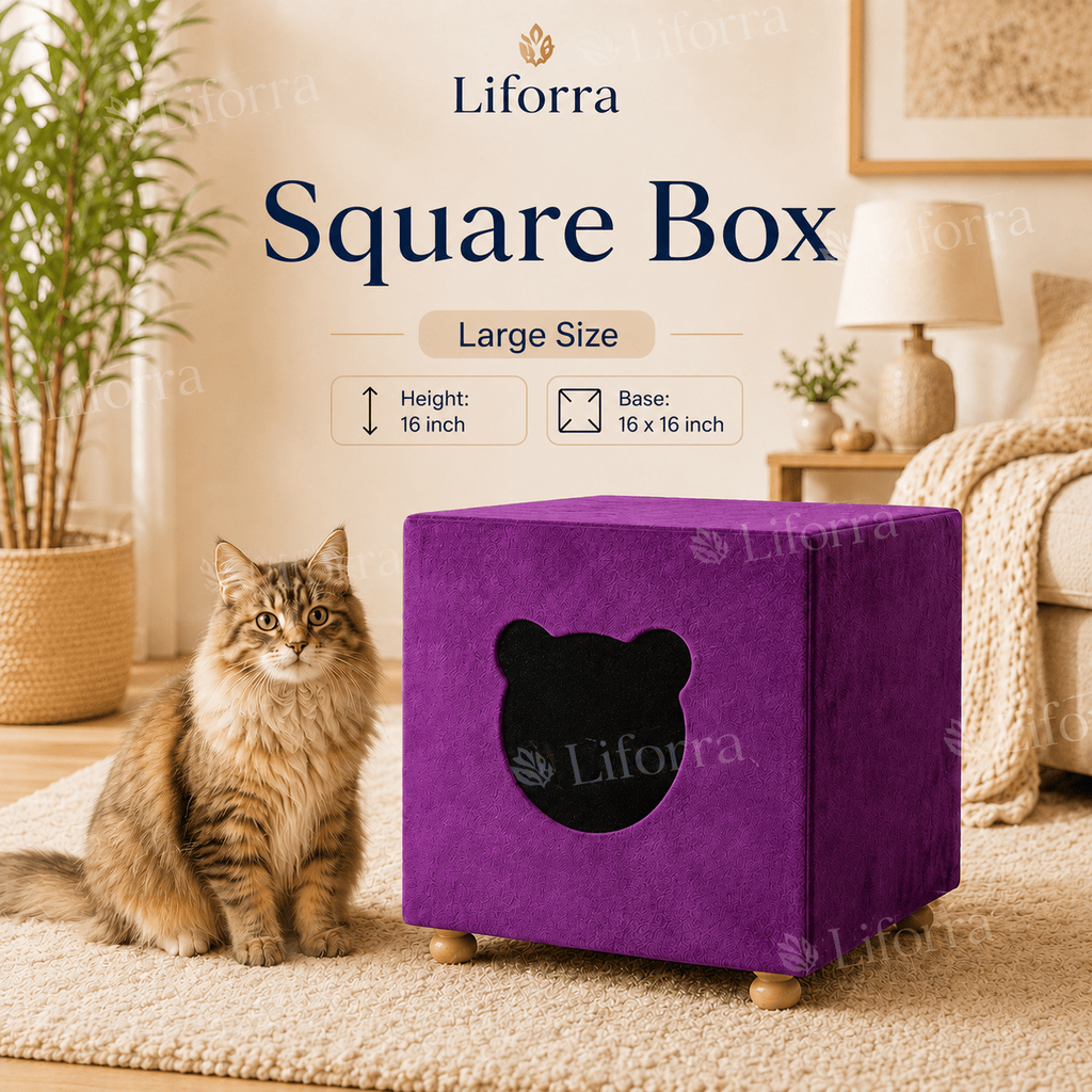 Square Box Cat House